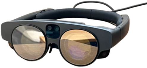 A pair of sunglasses

Description automatically generated with medium confidence