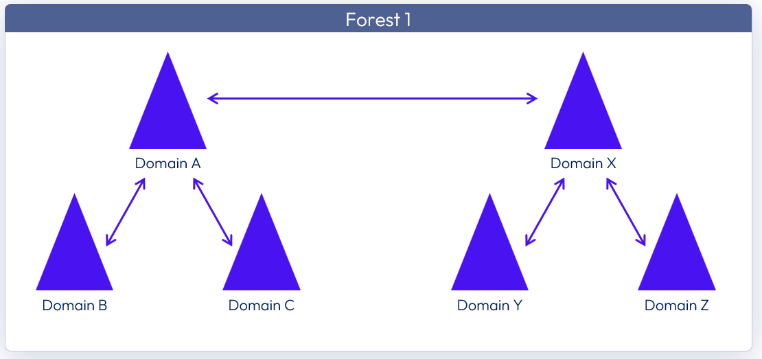 A diagram of a forest

Description automatically generated