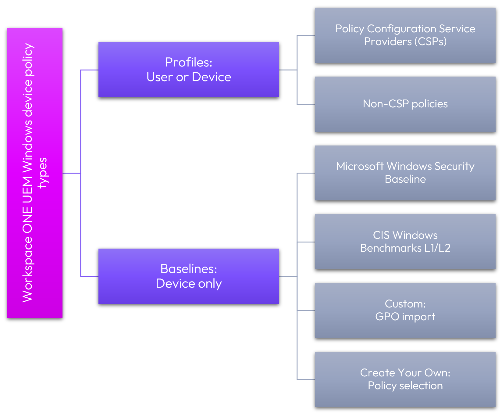 A diagram of a company

Description automatically generated